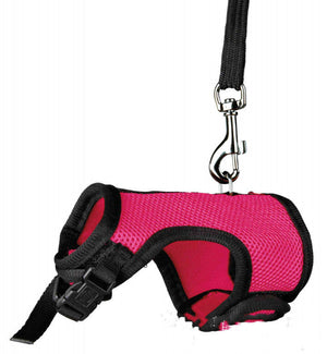 Discover the Perfect Small Pet Leash for Comfortable Outdoor Adventures