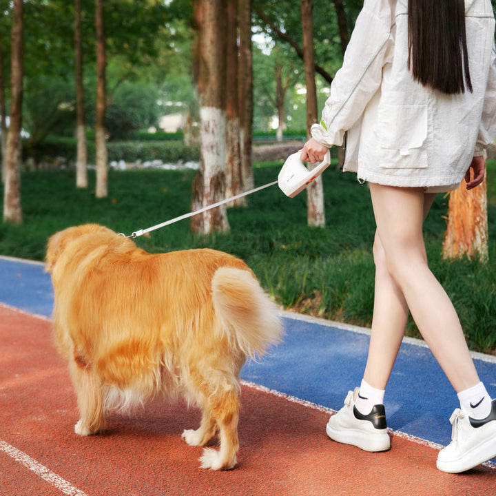 Discover the Perfect Pet Leash for Ultimate Comfort