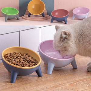 Nordic Style Pet Bowl With Elevated Stand Feeding Design