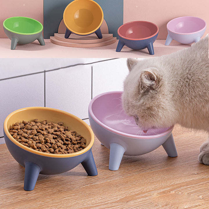 Nordic Style Pet Bowl With Elevated Stand Feeding Design