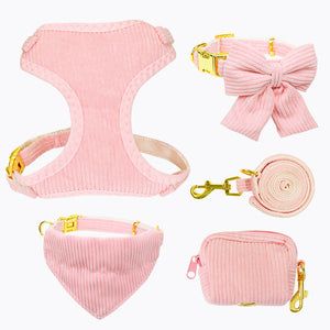 Experience the Great Outdoors with Our Pet Harness And Leash Set