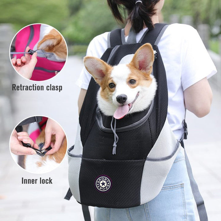 Discover the Perfect Travel Companion for Your Pet