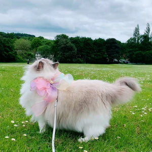 Elevate Your Pet Walks with Our Butterfly Design Retractable Leash